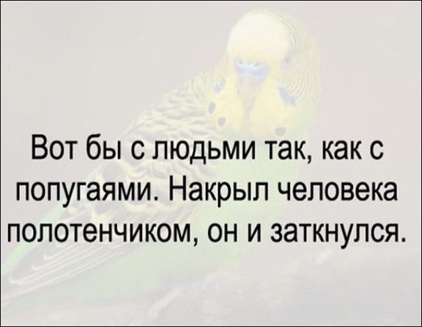 1468272088_19