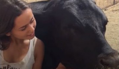 Ей 16, и она творит невероятные вещи ради спасения животных Ей 16, и она творит невероятные вещи ради спасения животных