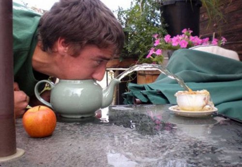 Что здесь происходит?! (21 фото) Что здесь происходит?! (21 фото)