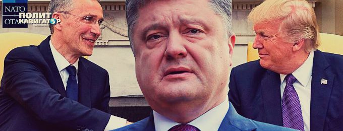 Брюссельские смотрины: Трамп отказался слушать скулёж Порошенко Брюссельские смотрины: Трамп отказался слушать скулёж Порошенко