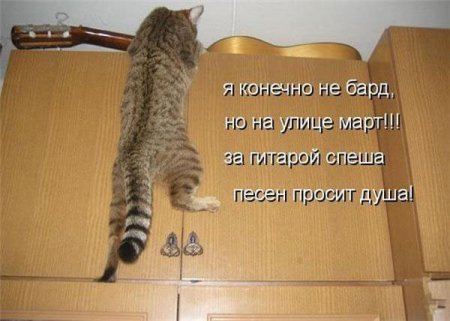 Смешные картинки о животных с подписями.