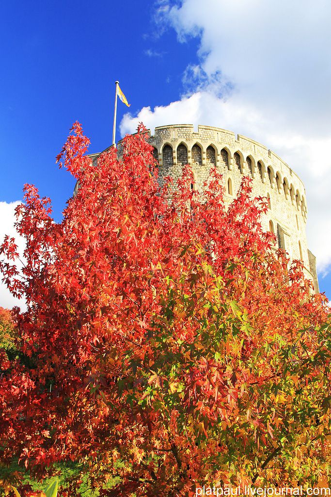 замок, Англия, экскурсия