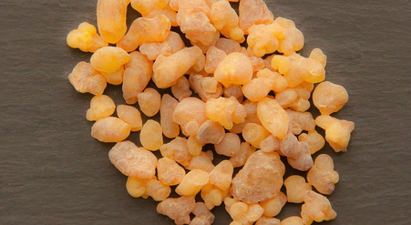 how-to-use-frankincense-essential-oil-to-treat-and-prevent-all-types-of-cancer-600x328