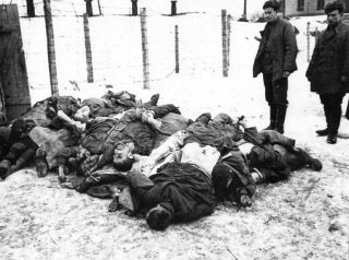 1941: из писем немецких солдат домой 1941: из писем немецких солдат домой