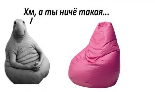 Анекдоты для хорошего настроения