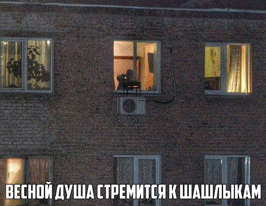 Забавные картинки с надписями со смыслом (12 фото) Забавные картинки с надписями со смыслом (12 фото)