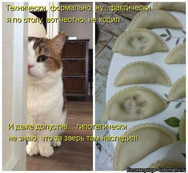 Котоматрицы для подзарядки позитивом))) Котоматрицы для подзарядки позитивом)))