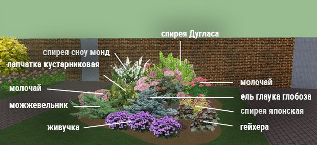 Клумбы непрерывного цветения – схемы с описанием цветов… Клумбы непрерывного цветения – схемы с описанием цветов…