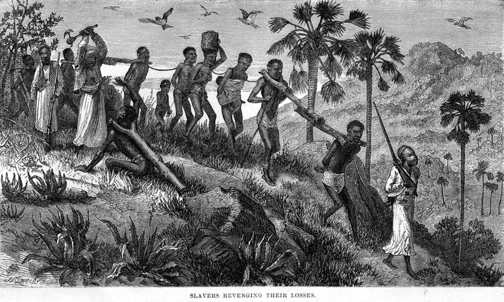 Колонна связанных друг с другом рабов (Центральная Африка, 1866 год)