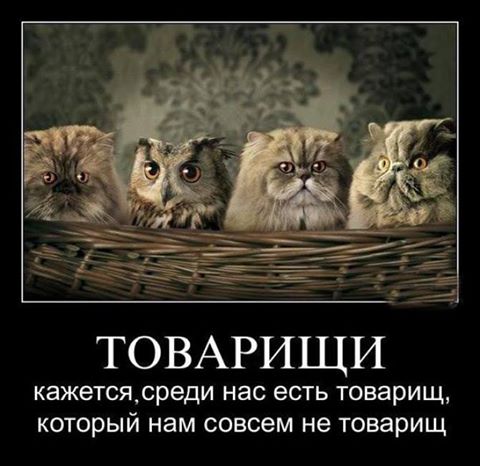 Вор ворвался ночью в дом. Он включил фонарик и начал искать ценные вещи. Тут из темноты раздается голос.. Вор ворвался ночью в дом. Он включил фонарик и начал искать ценные вещи. Тут из темноты раздается голос..