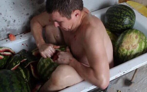 Что здесь происходит?! (21 фото) Что здесь происходит?! (21 фото)