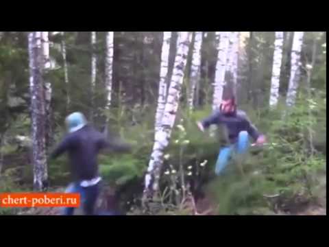 Вальщики леса Вальщики леса