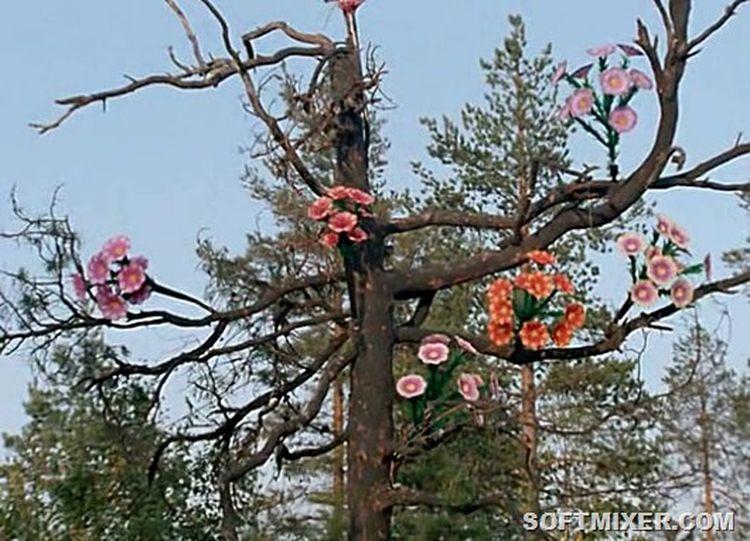 loveandpigeons16   : ,      