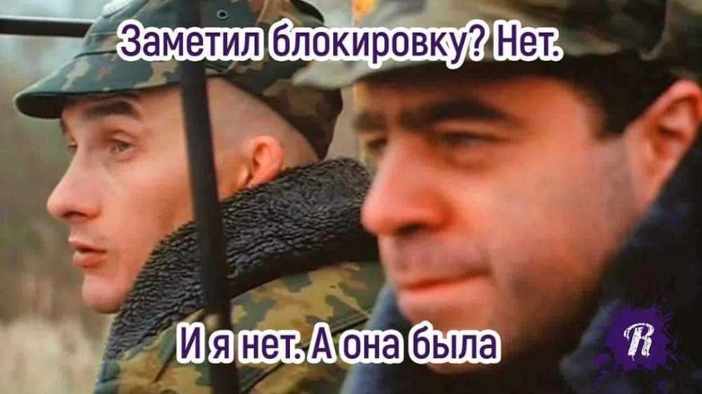12 мемов про разблокировку Telegram