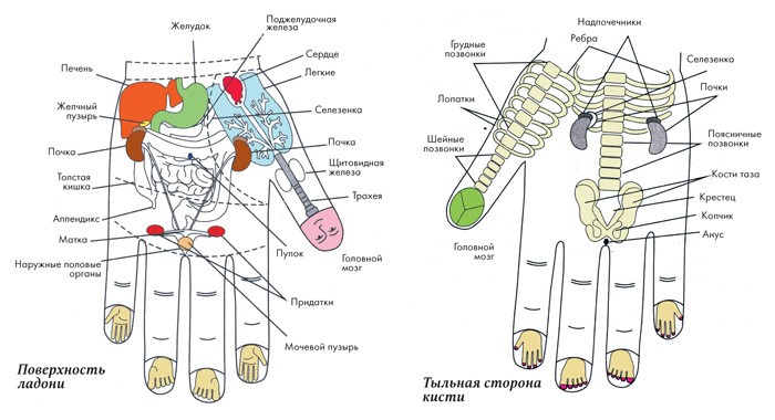 Самоисцеление. Простые техники для пальцев