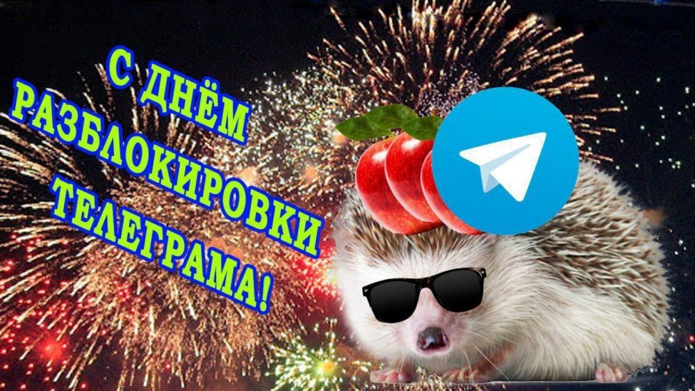 12 мемов про разблокировку Telegram
