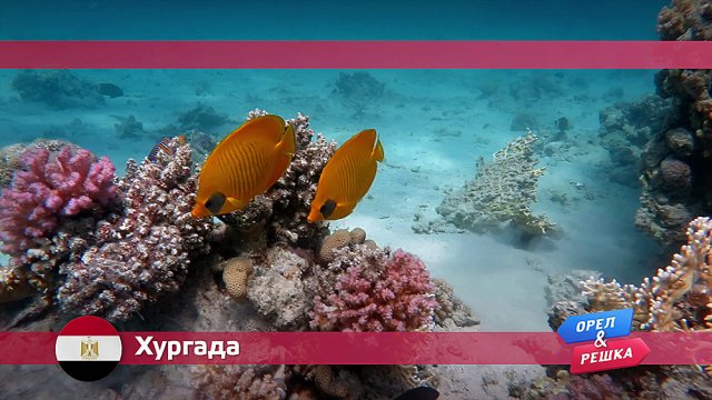 Орел и решка: Хургада. Египет Орел и решка: Хургада. Египет