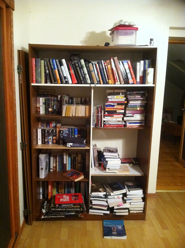 Коты — мастера камуфляжа Коты — мастера камуфляжа