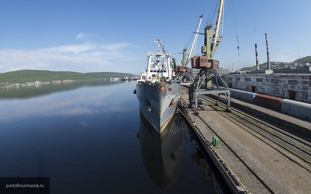Во Владивостоке работник порта попал под колеса крана