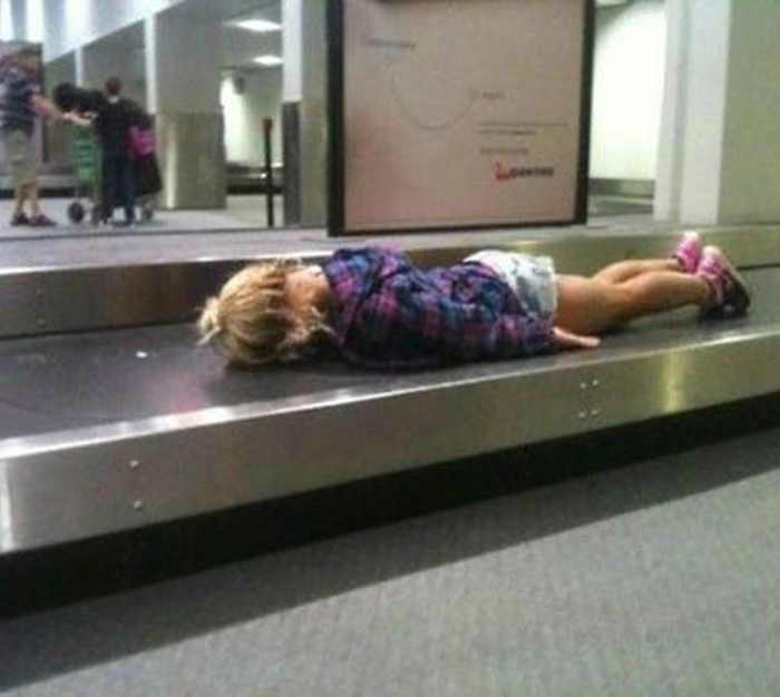 Живой багаж. | Фото: BestFunnies.com. Живой багаж. | Фото: BestFunnies.com.