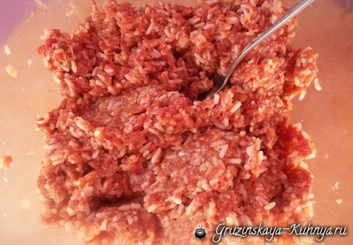 Долма с морковью и пряным томатным соусом (6)