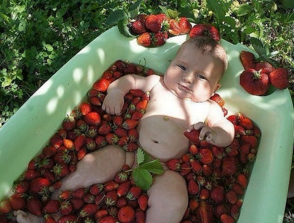 8923560-R3L8T8D-600-berry