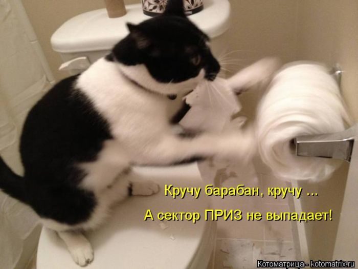 Самые весёлые котоматрицы)) Самые весёлые котоматрицы))