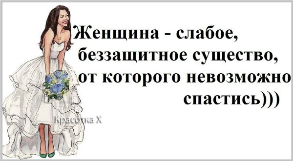 Чисто женские высказывания:)) Чисто женские высказывания:))