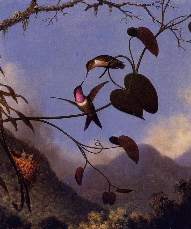 Цветы на картинах Martin Johnson Heade