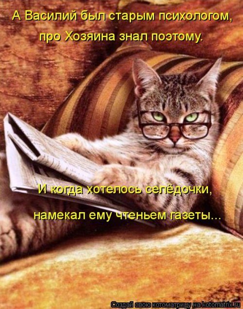 Самые уморительные котоматрицы) Самые уморительные котоматрицы)