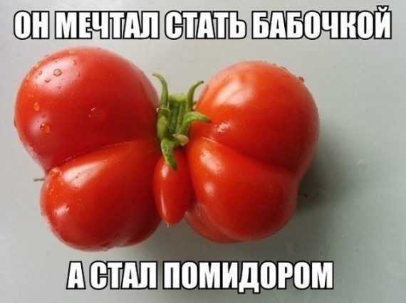 Когда природа тоже любит пошутить