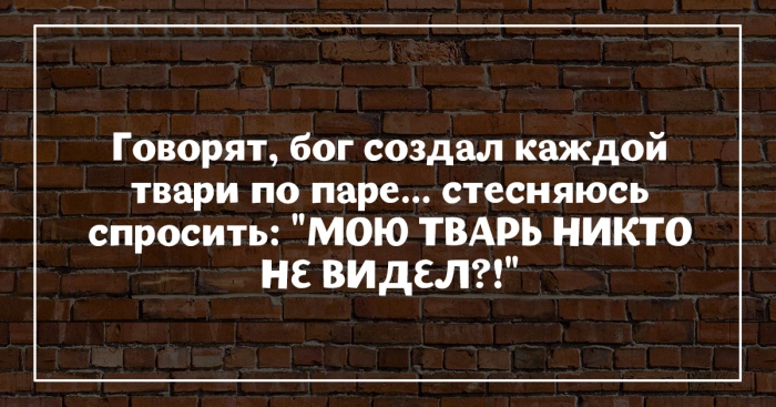Женская мудрость парой фраз Женская мудрость парой фраз