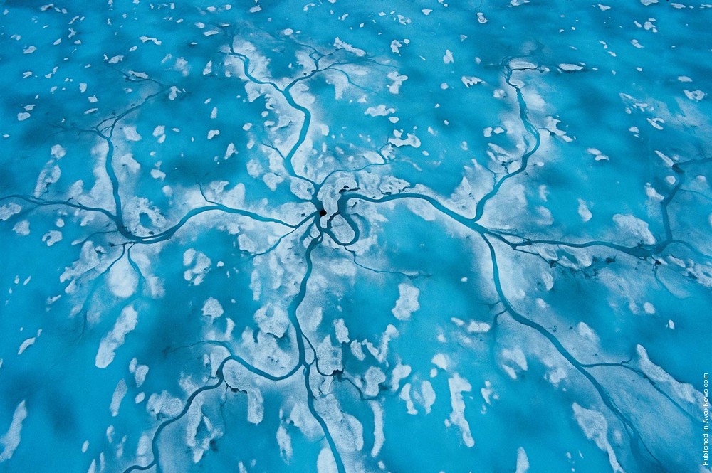 Polar Tales By Paul Nicklen. Part II