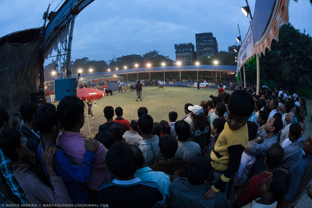 Mariya Sogrina Good Bye Calcutta-26 Mariya Sogrina Good Bye Calcutta-26