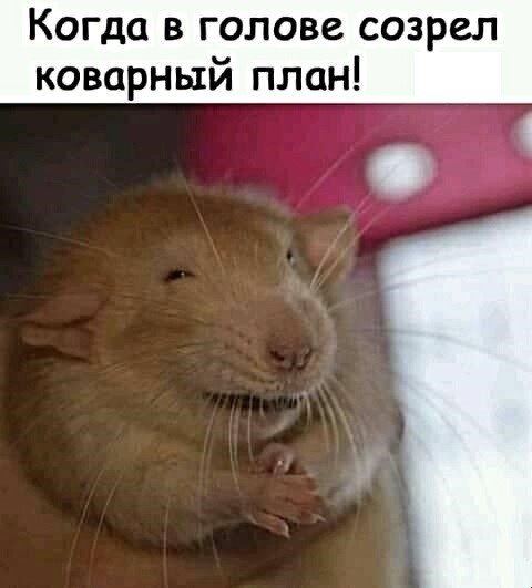 Картинки с надписями,истории и анекдоты Картинки с надписями,истории и анекдоты