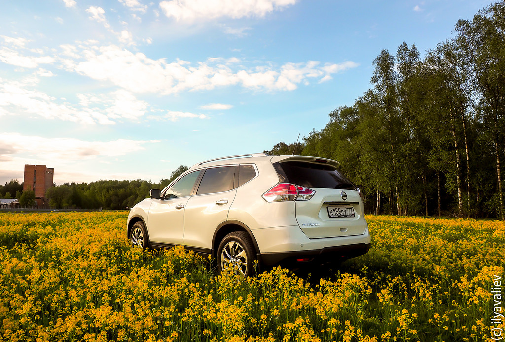 xtrail (5 из 14).jpg