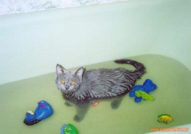 Давайте улыбаться вместе! :) (28поводов)