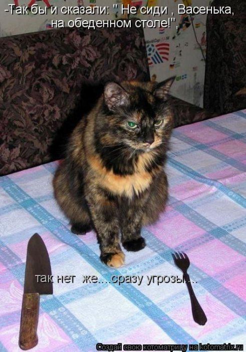 Котоматрицы :)