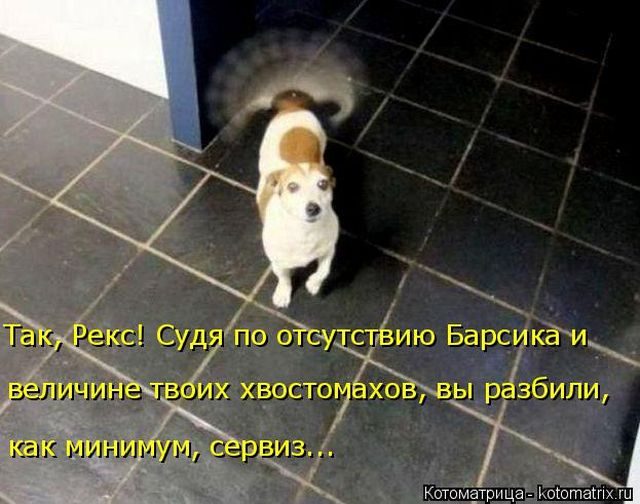 Котоматрицы для подзарядки позитивом))) Котоматрицы для подзарядки позитивом)))