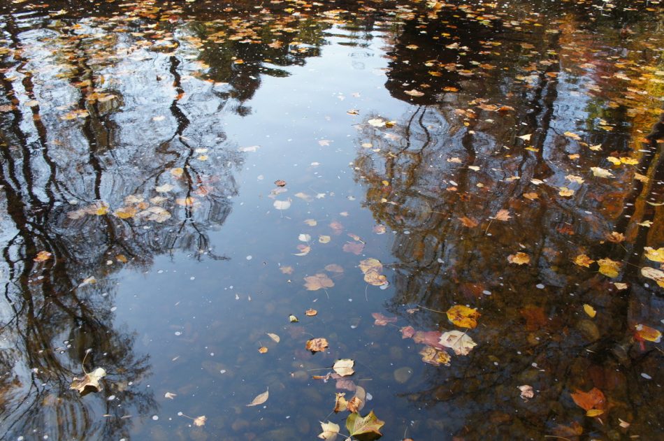 Водоем / Фото: МЧС
