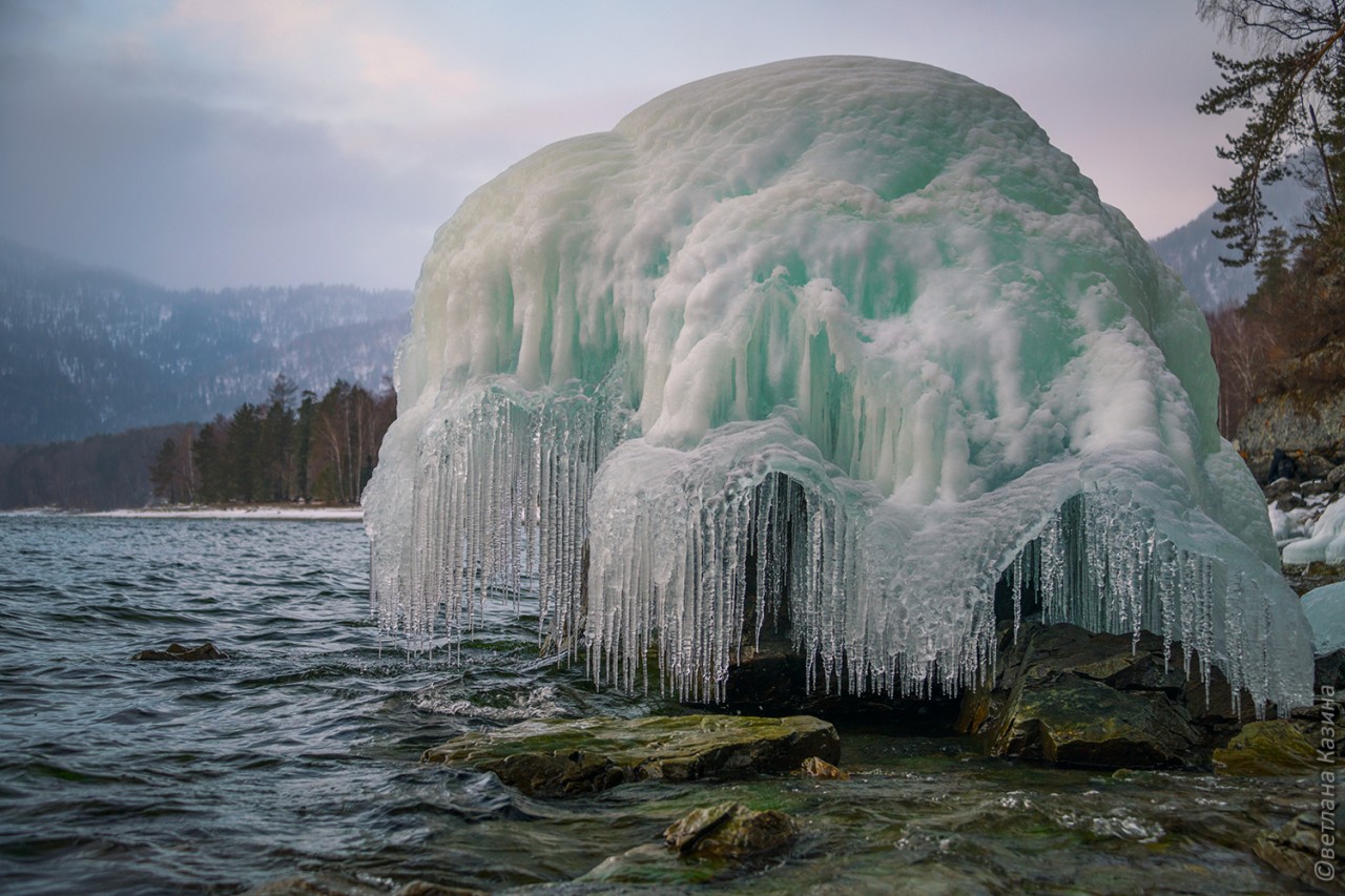 Фотопроект Светланы Казиной. Ледяные медузы Телецкого озера ( Горный Алтай)
