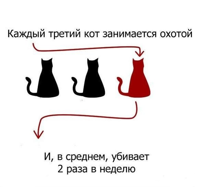 Конкурс на домашнего питомца Конкурс на домашнего питомца