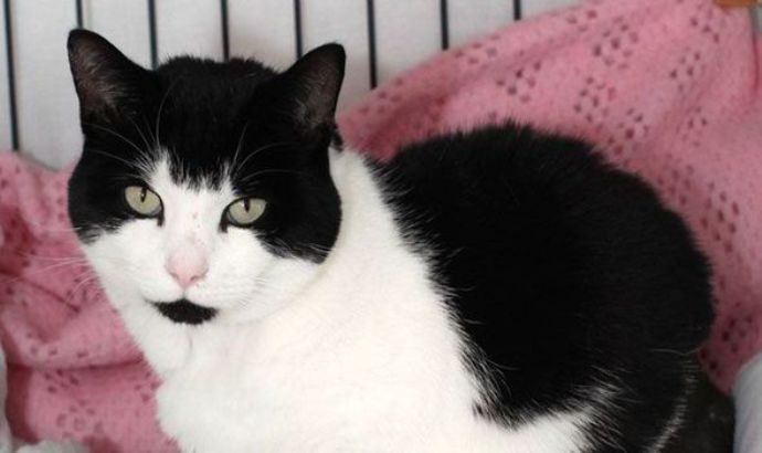 прочие, интересное