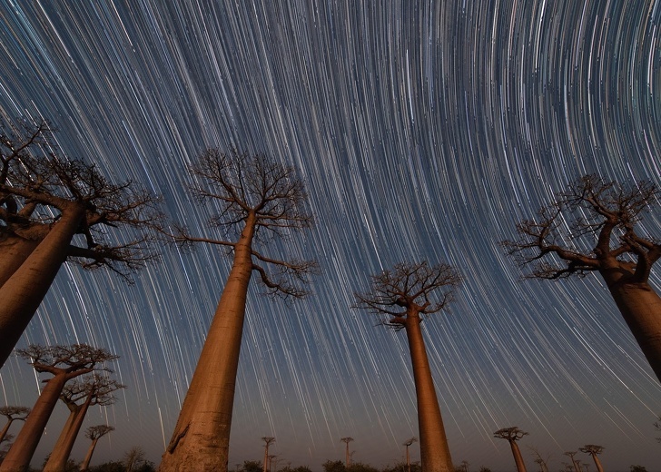 Потрясающие фотографии от National Geographic в 2018 году