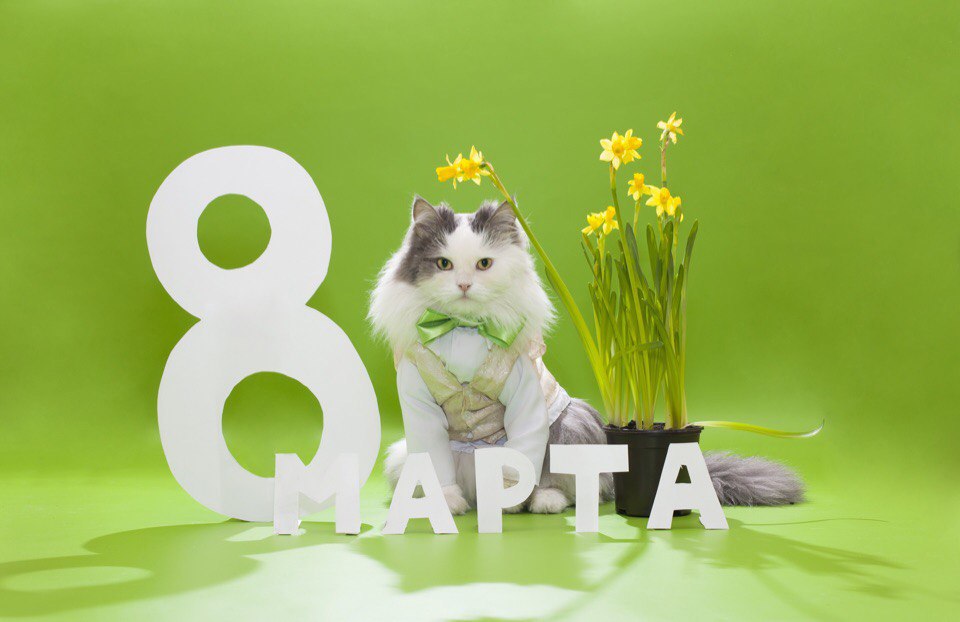 С праздником 8 марта!!! С праздником 8 марта!!!
