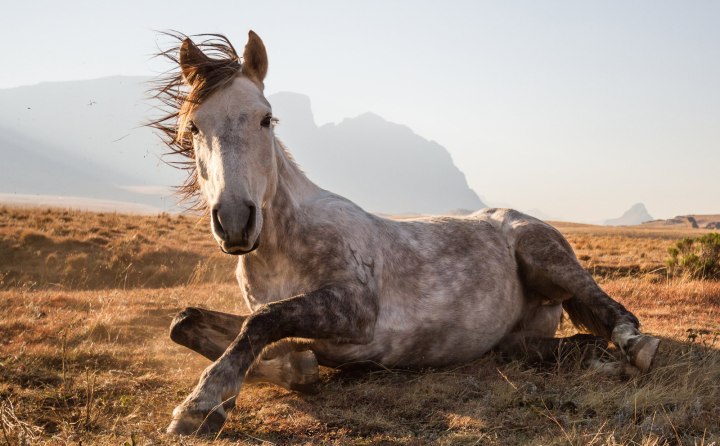 «Отдых Хосто», Байрон Инггс National Geographic Traveller