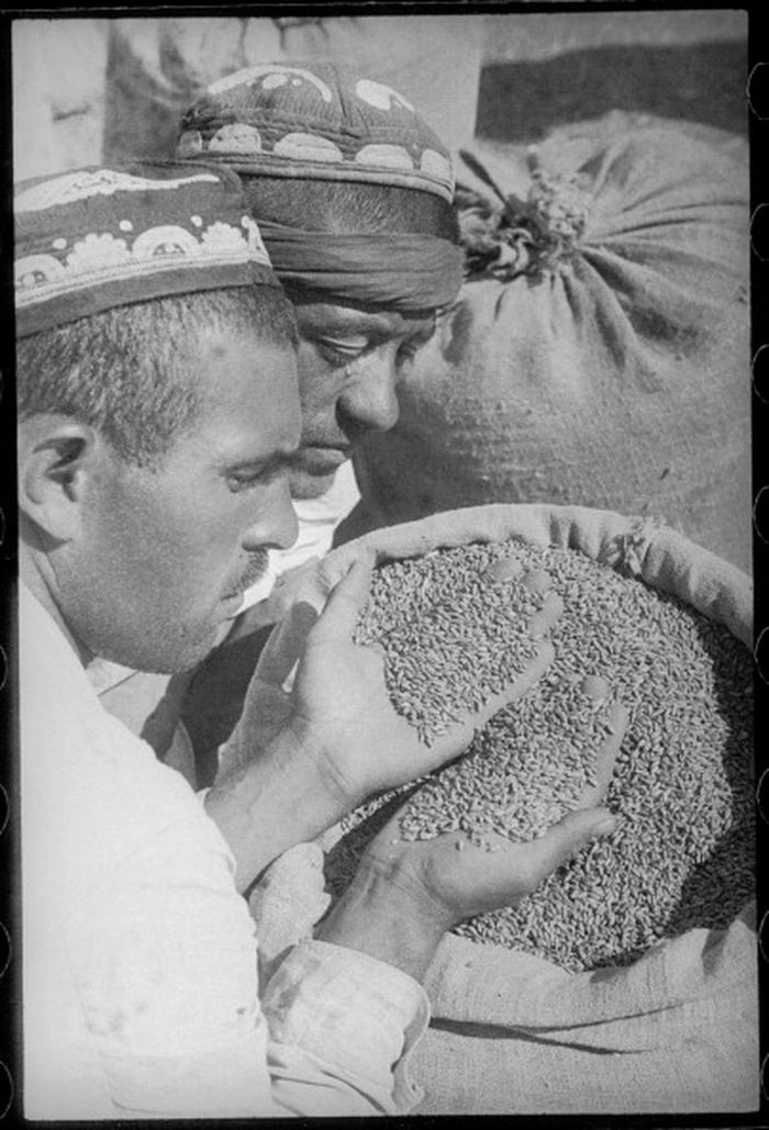 Советский Узбекистан в фотографиях Макса Пенсона люди, ссср, узбекистан, фотограф