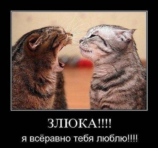 Свежие демотиваторы на воскресенье (10 фото) Свежие демотиваторы на воскресенье (10 фото)