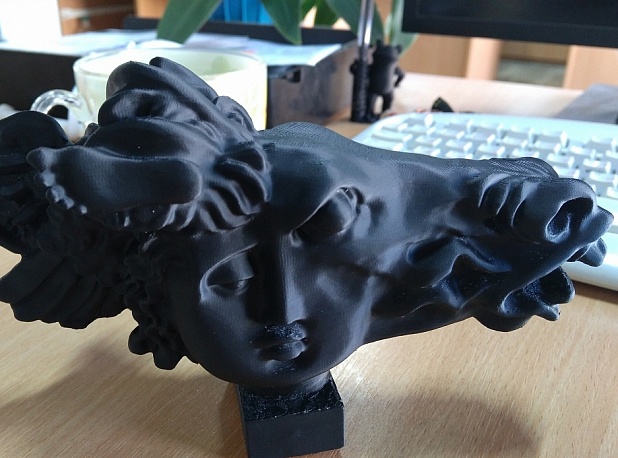 12 абсолютно абсурдных вещей, которые можно распечатать на 3D-принтере