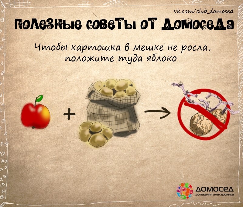 Чтобы картошка в мешке не проросла Чтобы картошка в мешке не проросла